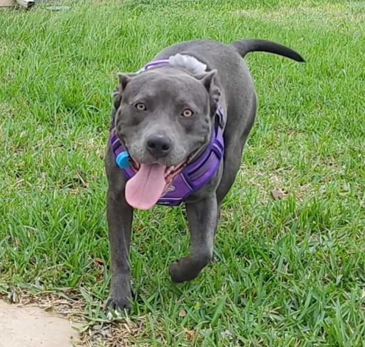 Photo of Candy