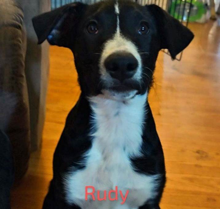 Photo of Rudy