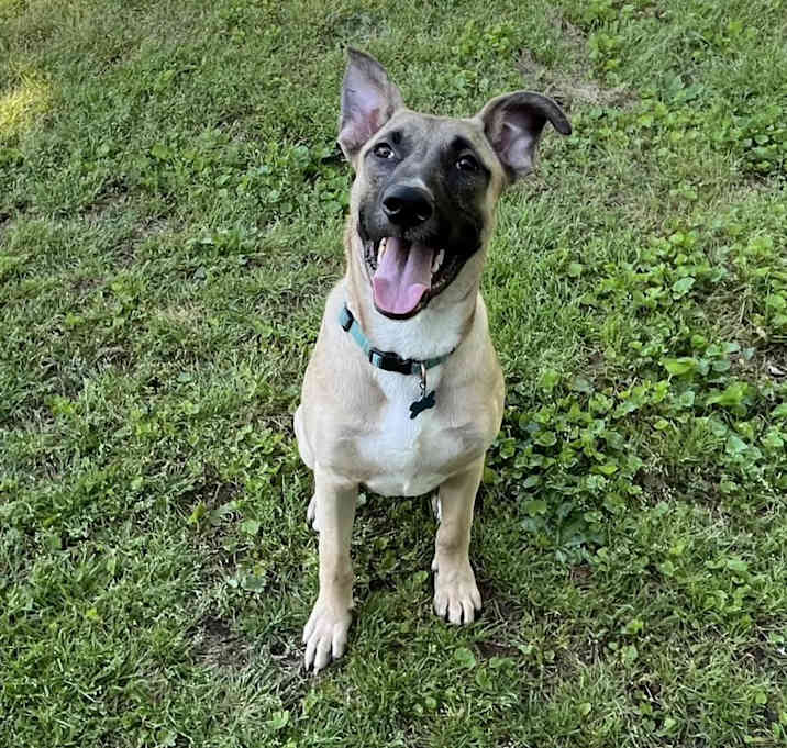 Photo of Tucker