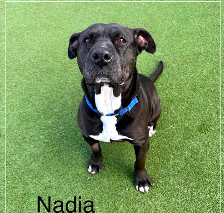 Photo of NADIA