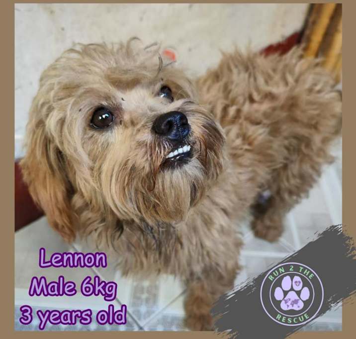Photo of Lennon
