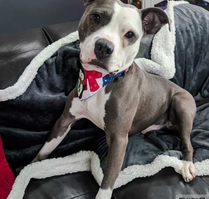 Photo of Duke (Sluggo)