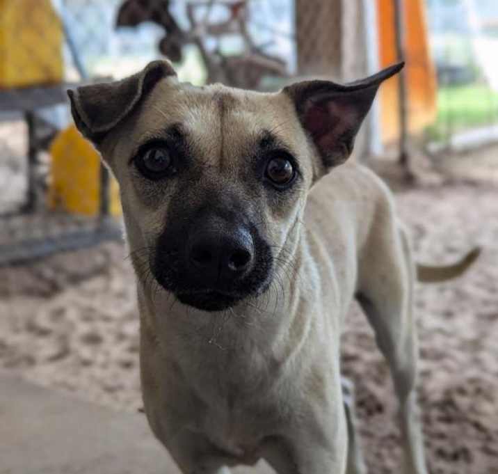 Photo of Sally