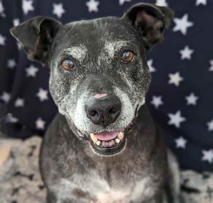 Photo of Athena