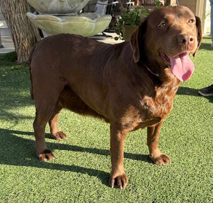 Photo of Tootsie