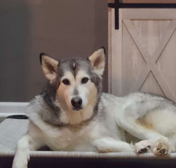 Photo of Juneau