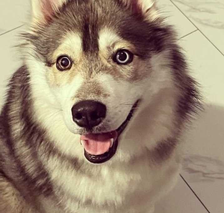 Photo of Holley