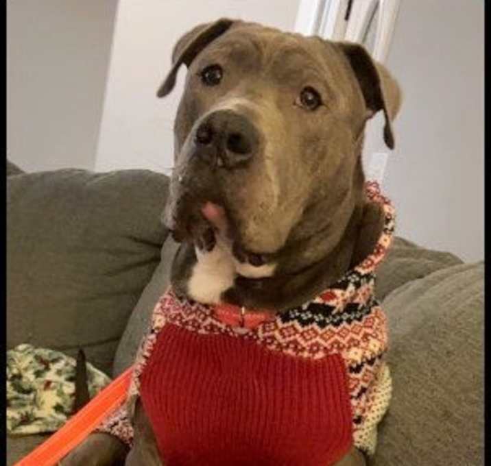 Photo of Smokey