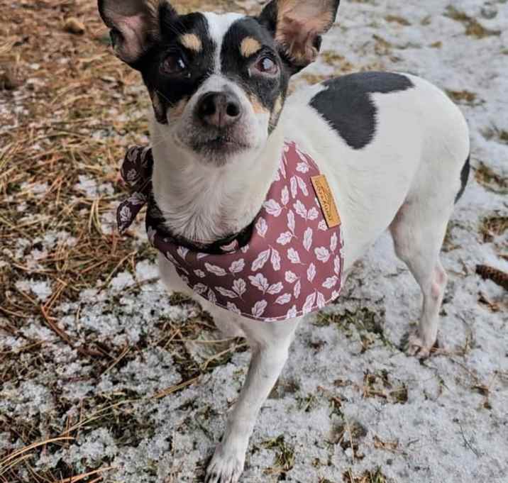 Photo of Evie