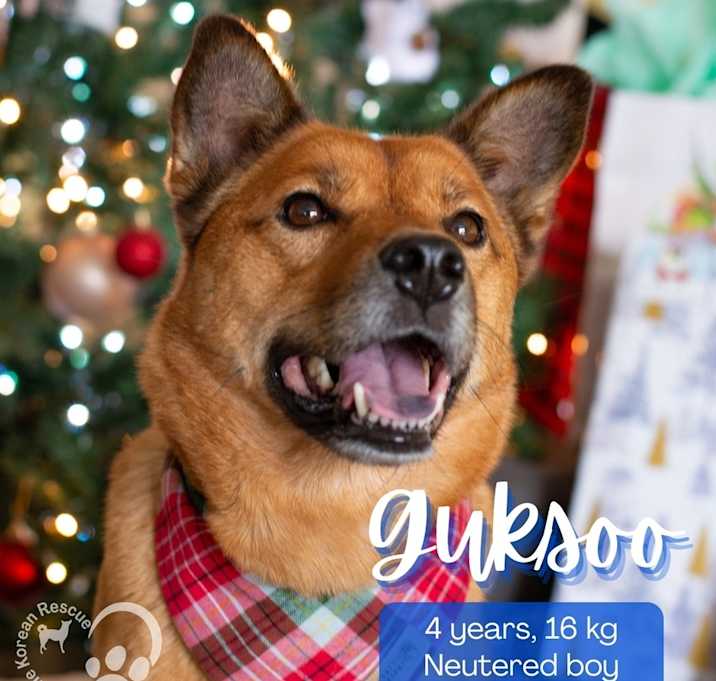 Photo of Guksoo