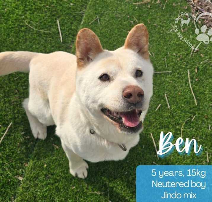 Photo of Ben