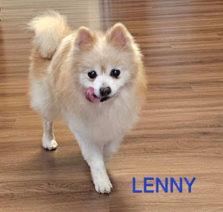 Photo of Lenny