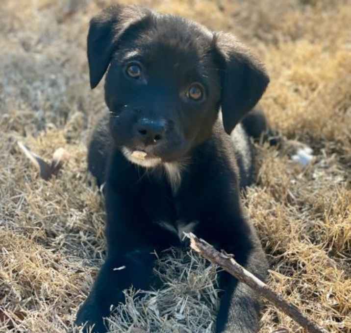 Photo of FIONA