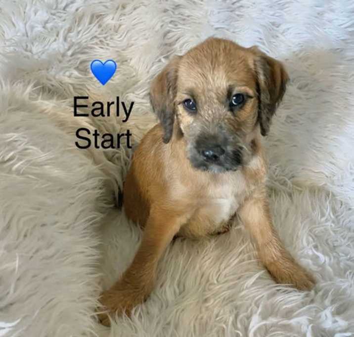Photo of Early Start