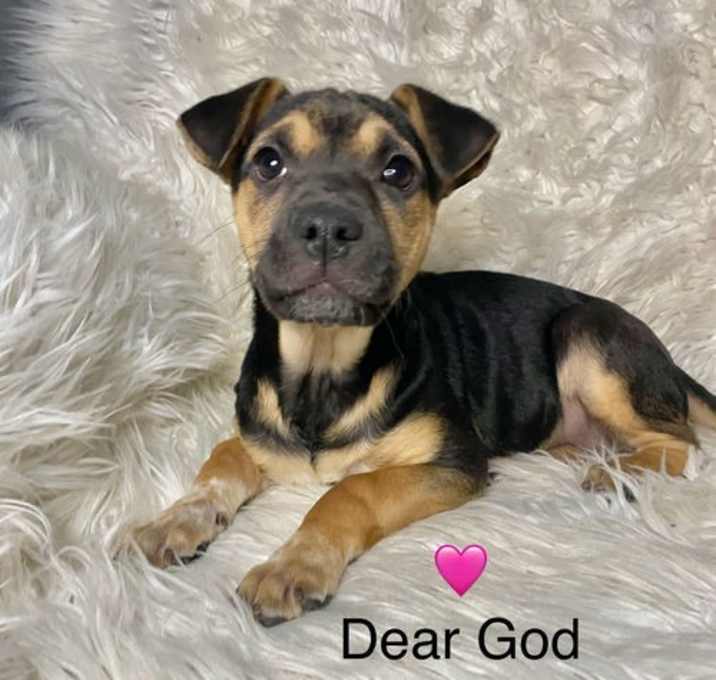 Photo of Dear Lord