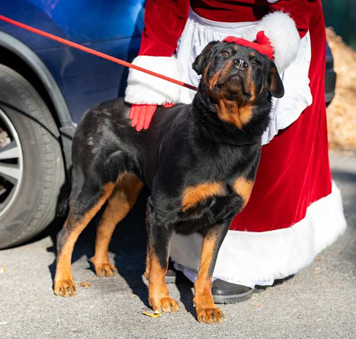 Photo of Ruby
