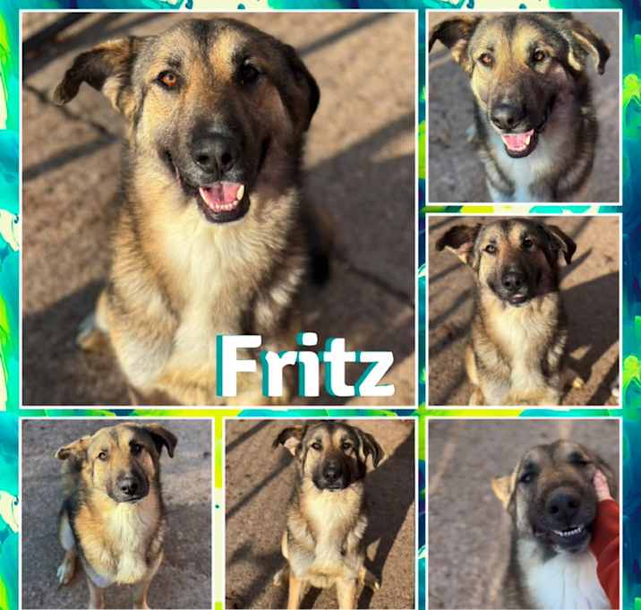 Photo of Fritz