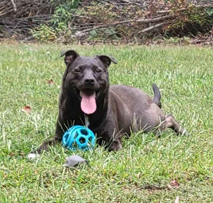 Photo of Holly