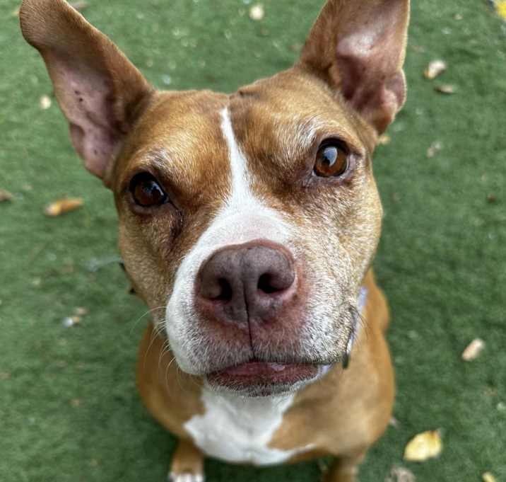 Photo of Cranberry