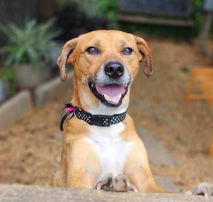 Photo of Belle