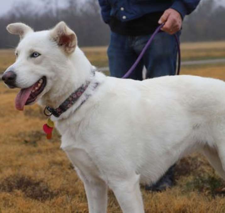 Photo of Dixie Diamond
