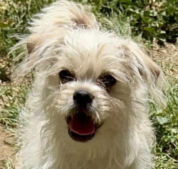 Photo of !Teddy