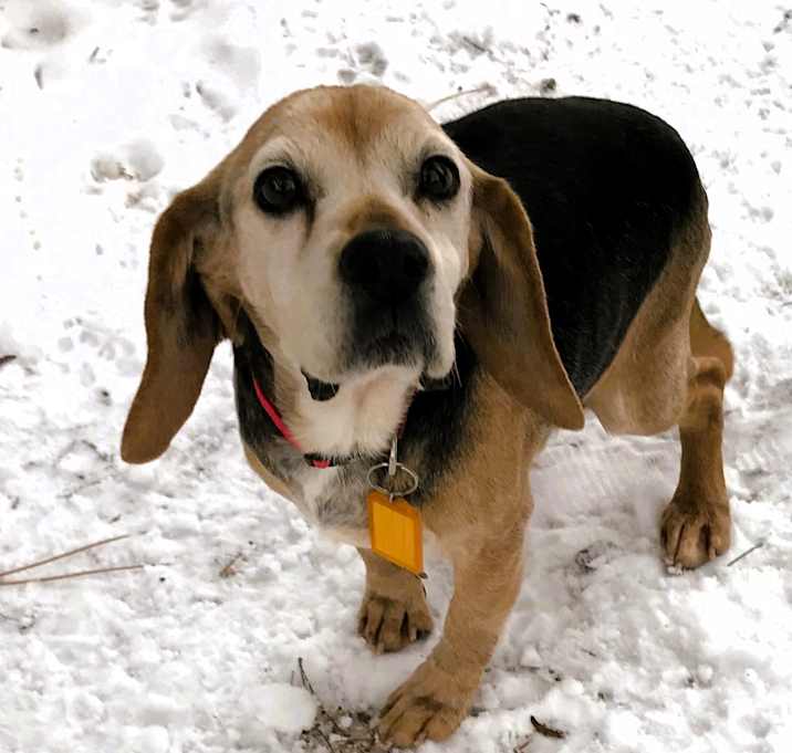 Photo of Jimmy Bean