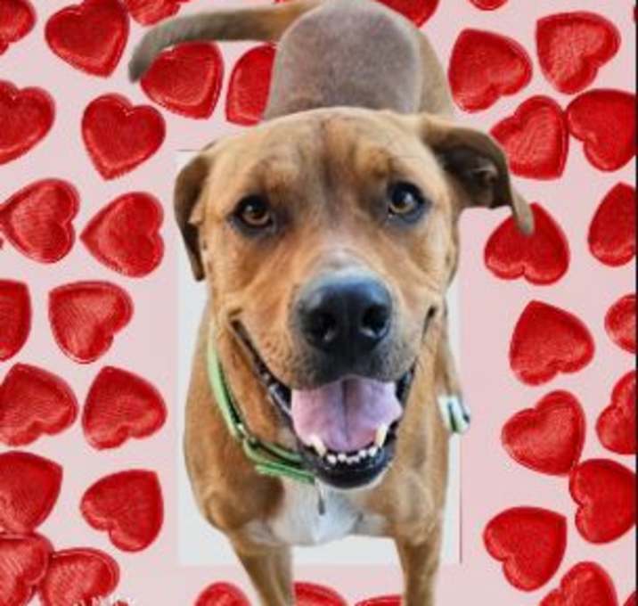 Photo of MACY