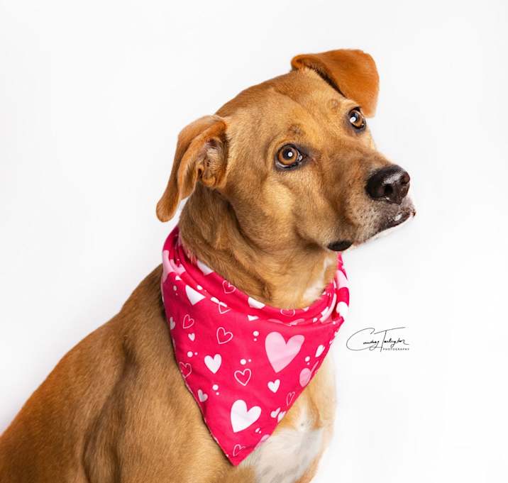 Photo of Pepper