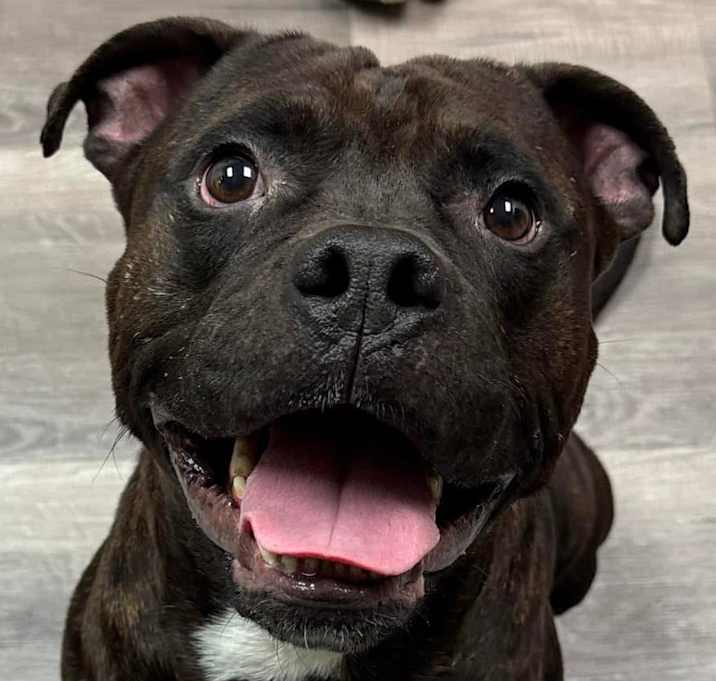 Photo of Reggie
