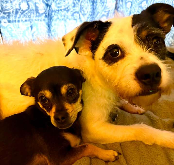 Photo of Keko (Bonded with Oscar)