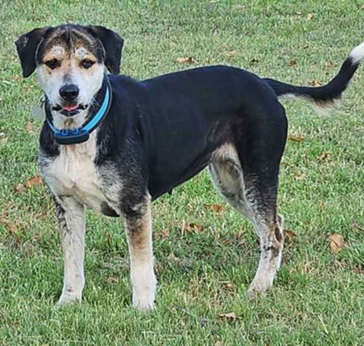 Photo of Dottie