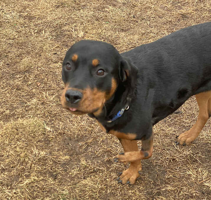 Photo of Roo