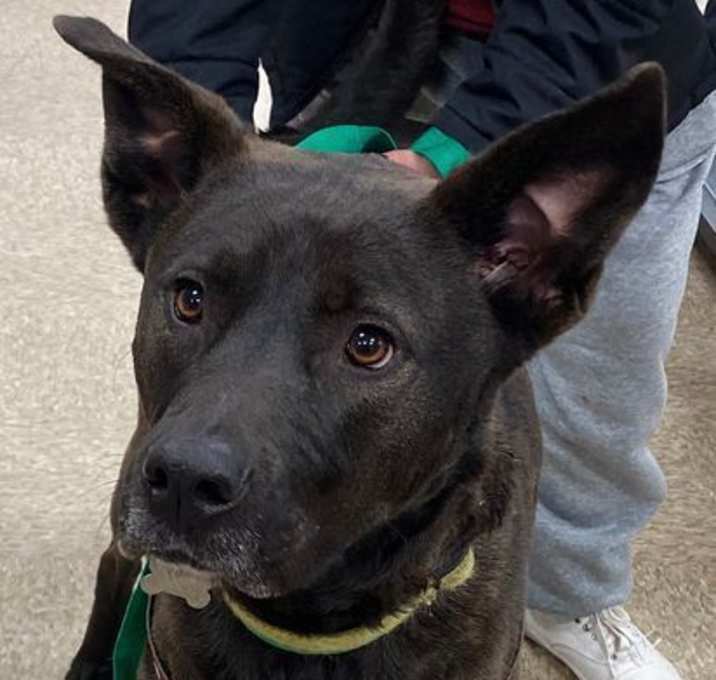 Photo of Xena