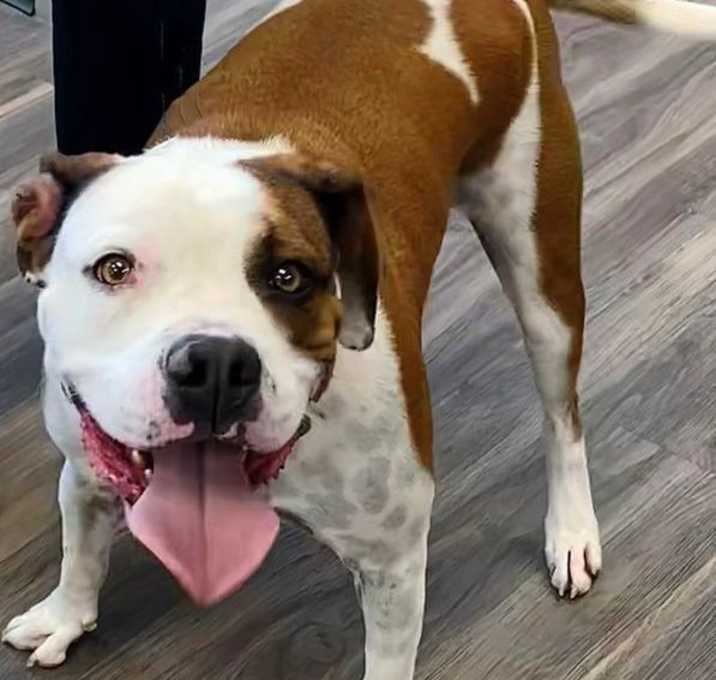 Photo of Oliver