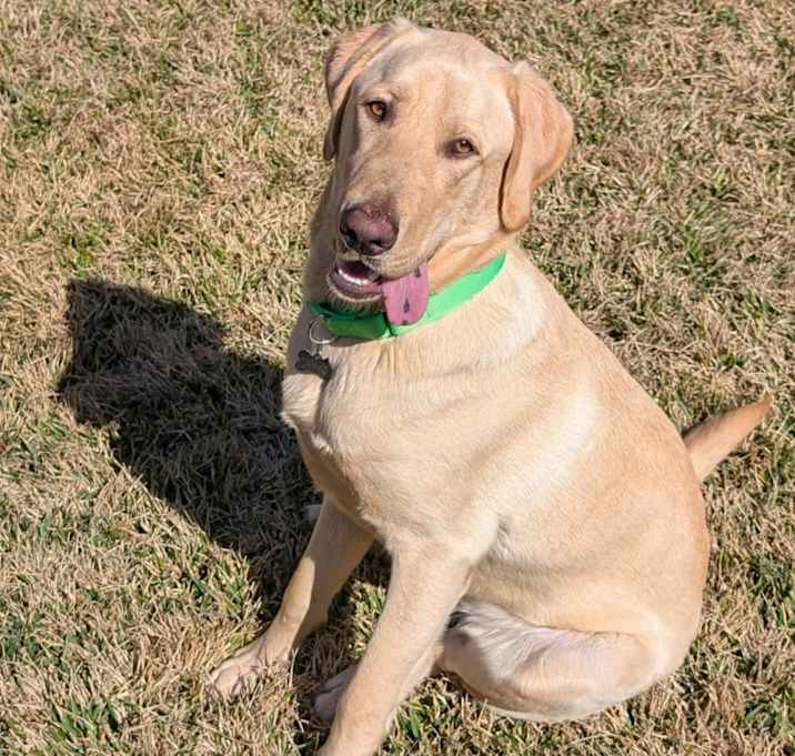 Photo of Clyde