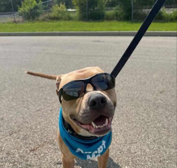 Photo of Goody