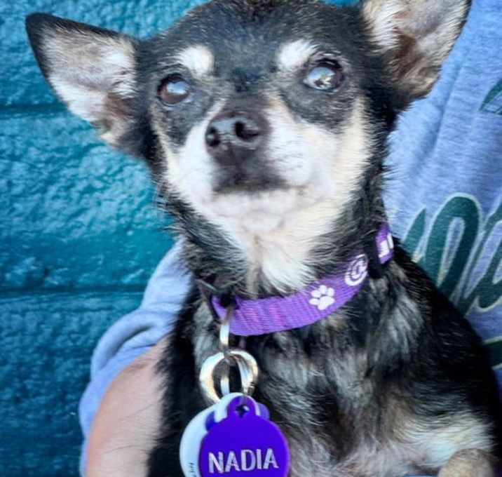 Photo of *NADIA BEETLEJUICE