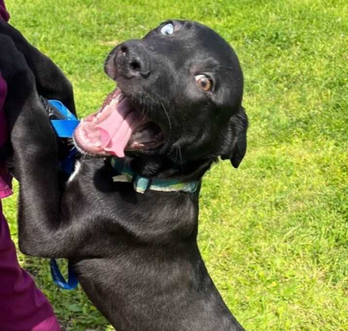 Photo of shadow