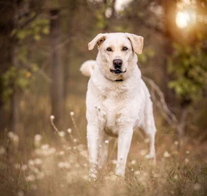 Photo of Ruffy