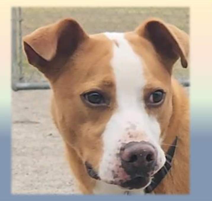 Photo of CHASE