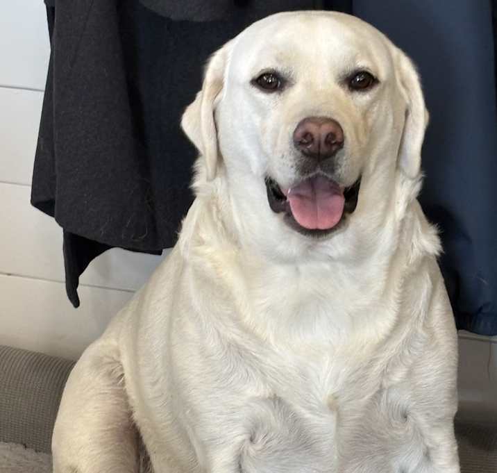 Photo of Mollie