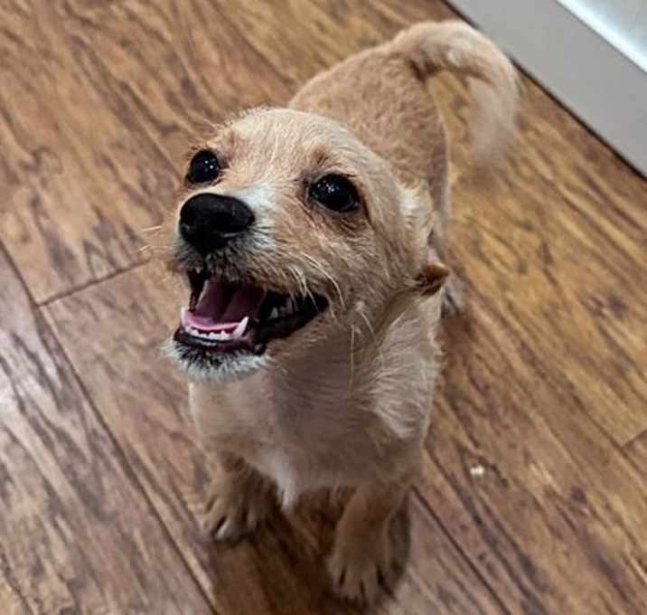 Photo of Maverick