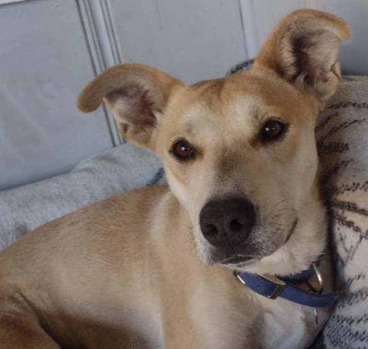 Photo of Ellie