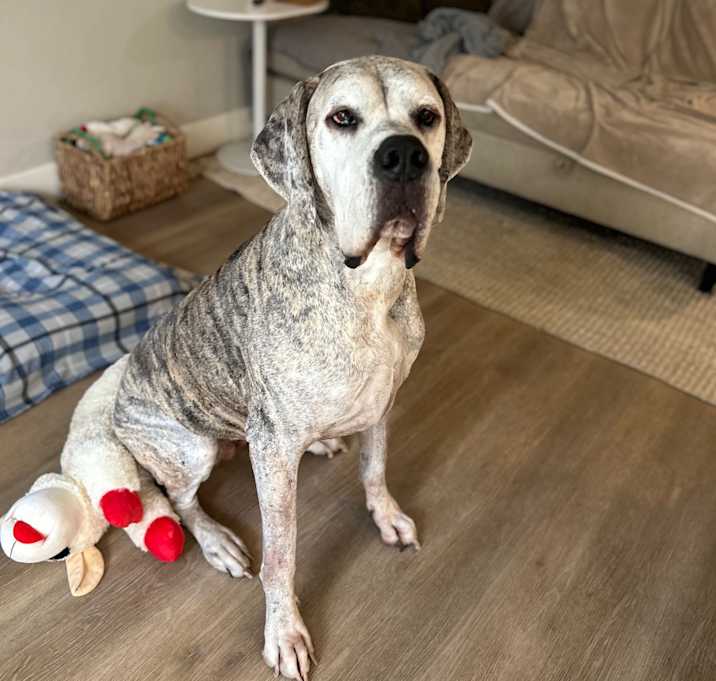 Photo of Lulu