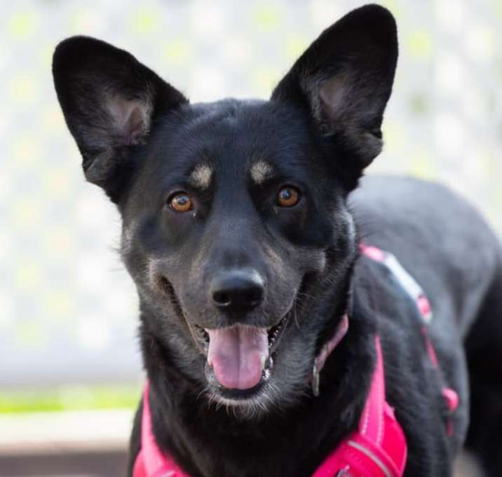 Photo of Lolli aka Sasha