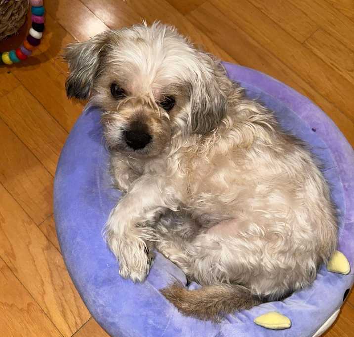 Photo of Abby