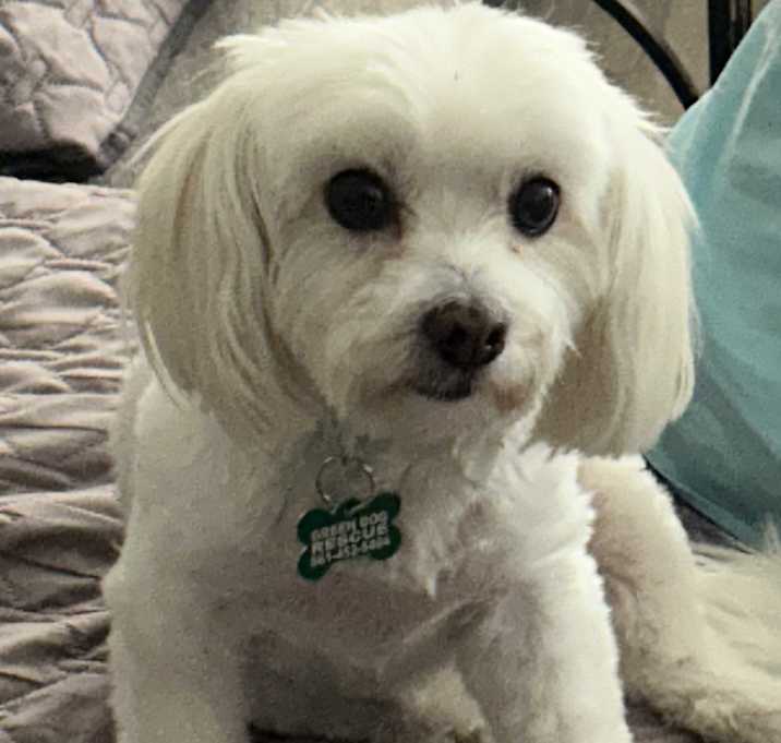 Photo of CECE