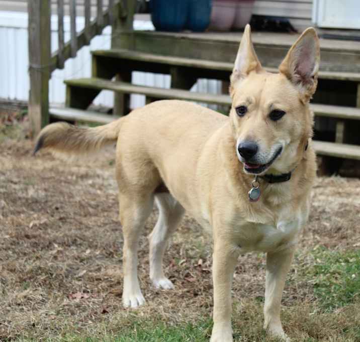 Photo of Cali