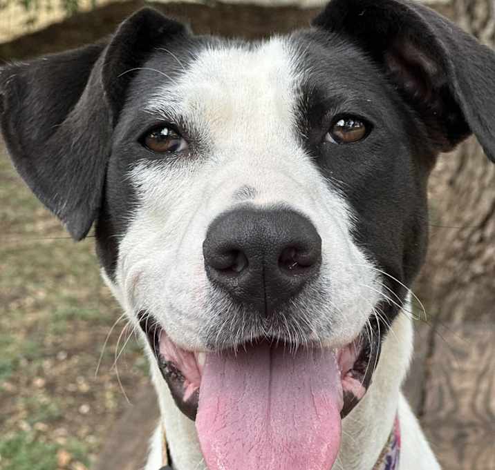 Photo of Cleo